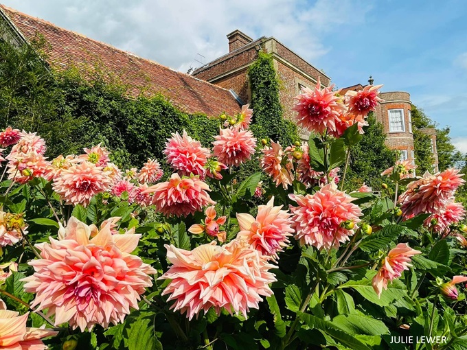 hinton-ampner