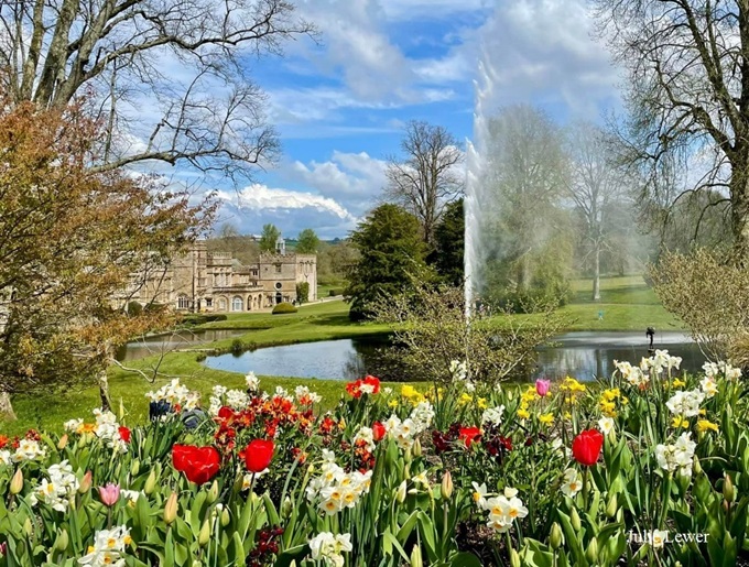 forde-abbey-tulips