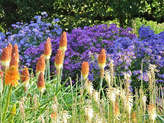 waterperry-garden-in-september