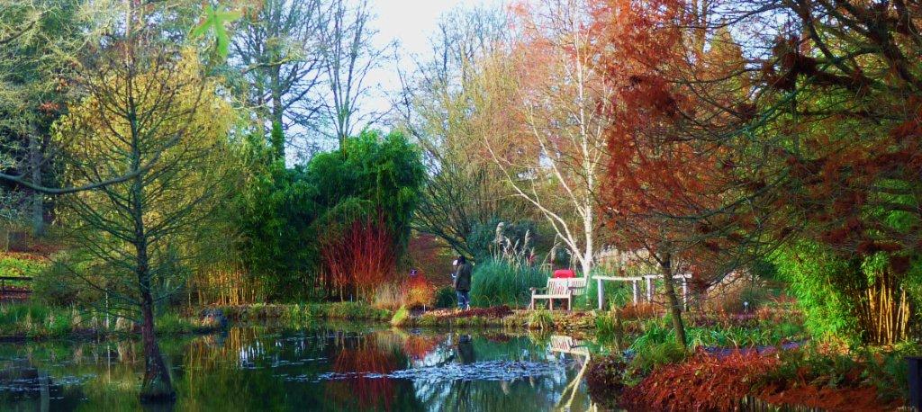 Winter Gardens, the best to visit near me - Great British ...