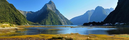 gardens-of-new-zealand