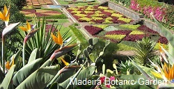 madeira-botanic-garden