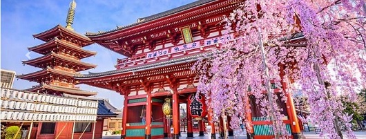 seasonal-gardens-of-japan